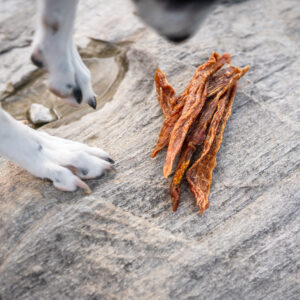 Kauartikel & Leckerlis